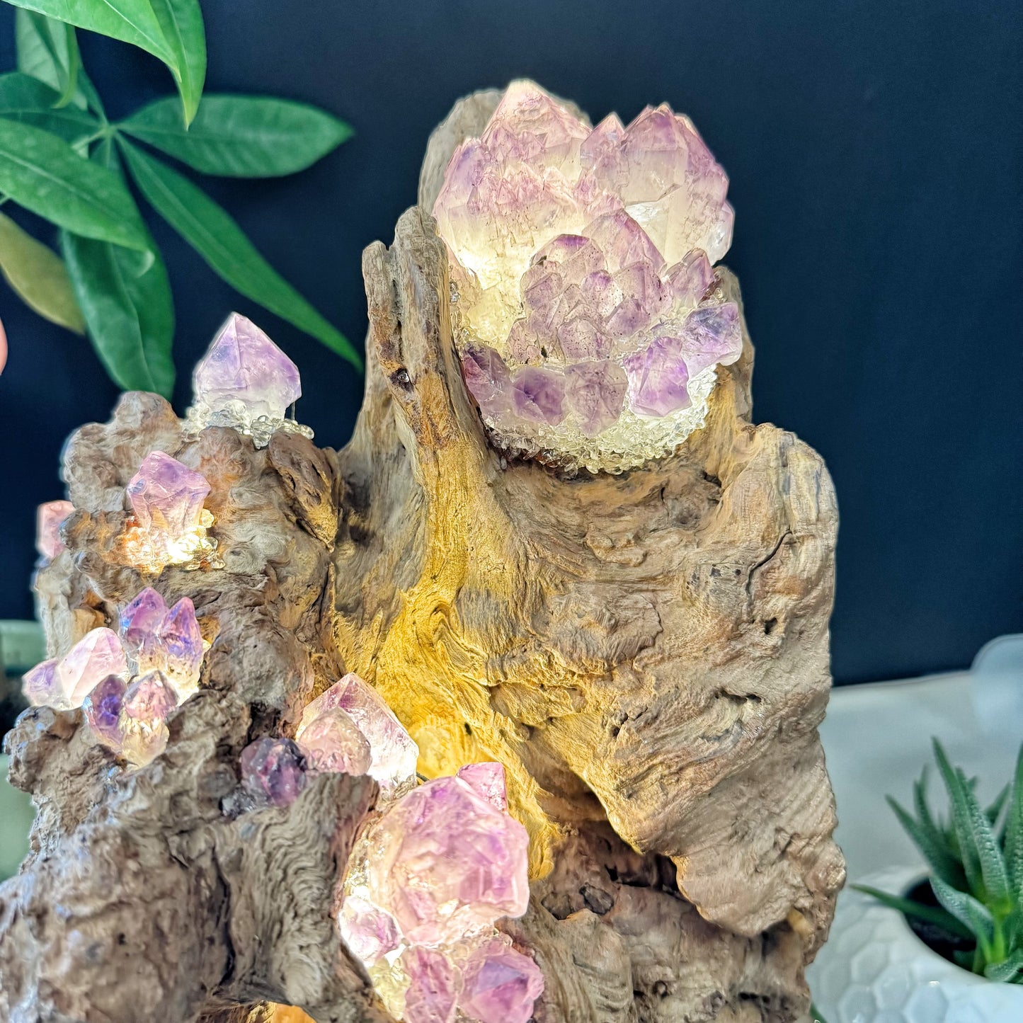 Mountain Flame · Amethyst Light on Ancient Wood