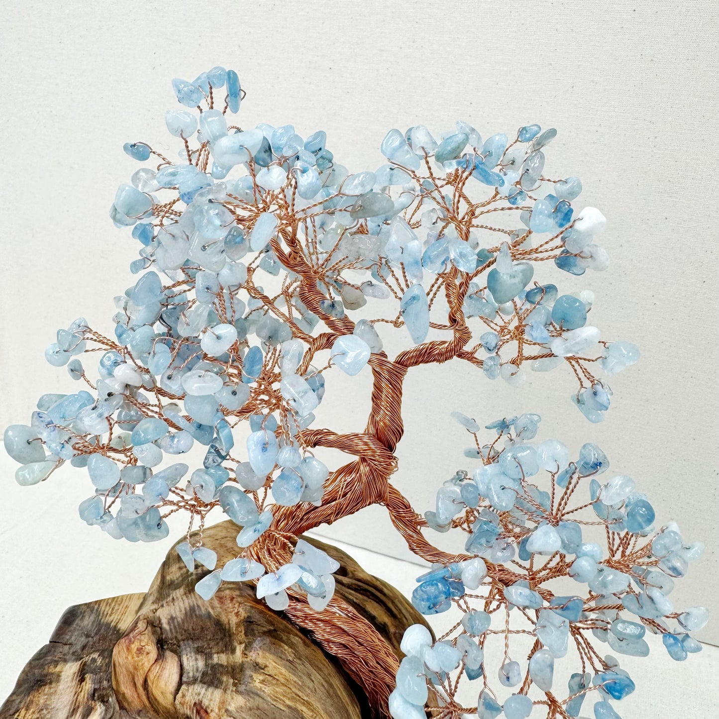 The Silent Sea Tree