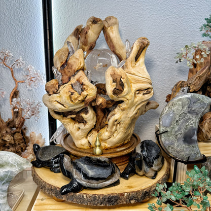 Fortune Vessel