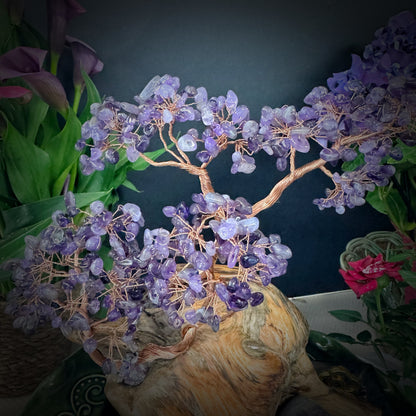 Amethyst Grove of Stillness