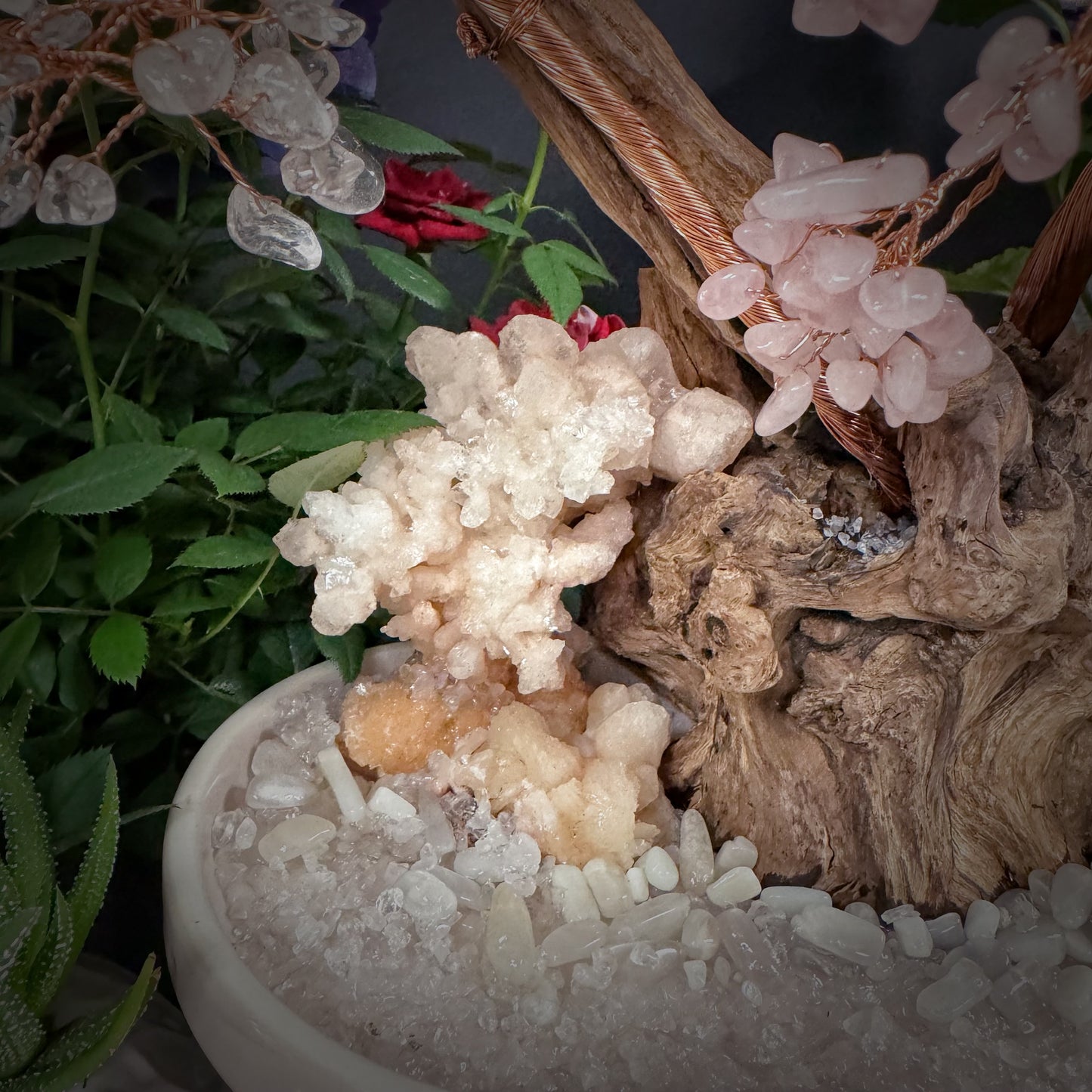 Circle of Love · Tree of Harmony and Emotional Resonance