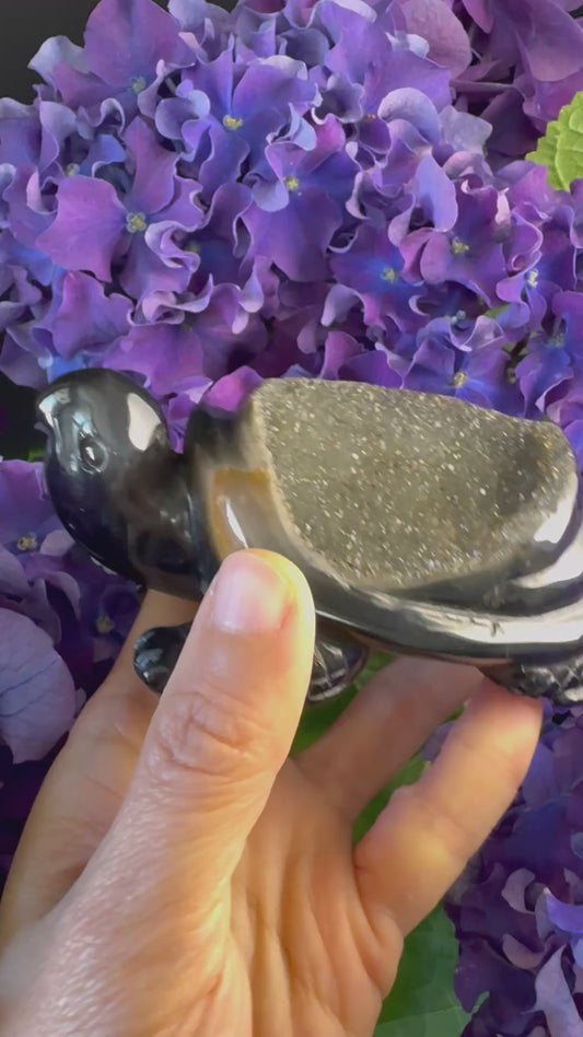 Treasure Turtle of AbundanceT#003