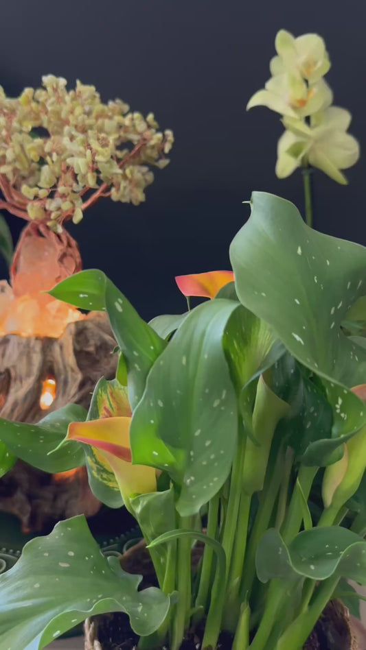Prosperity Nest · A Feng Shui Crystal Tree for Wealth Flow and Energetic Containment
