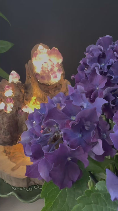 Mountain Flame · Amethyst Light on Ancient Wood
