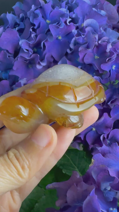 Treasure Turtle of AbundanceT#008